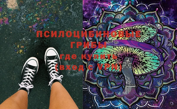 марки nbome Белокуриха