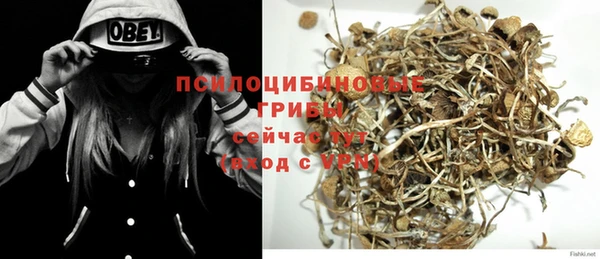 марки nbome Белокуриха
